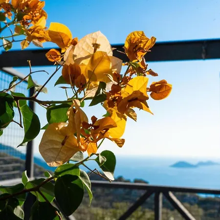 Apartament Deluxe Kalkan